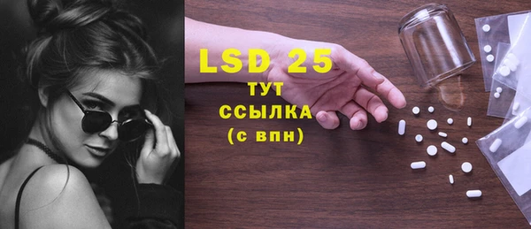прущие грибы Коряжма