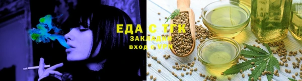 крисы Козельск
