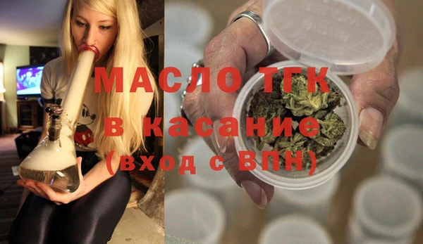 крисы Козельск