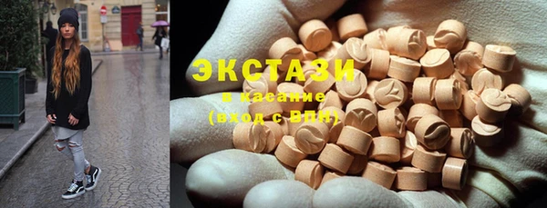 крисы Козельск