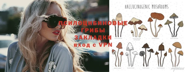 крисы Козельск
