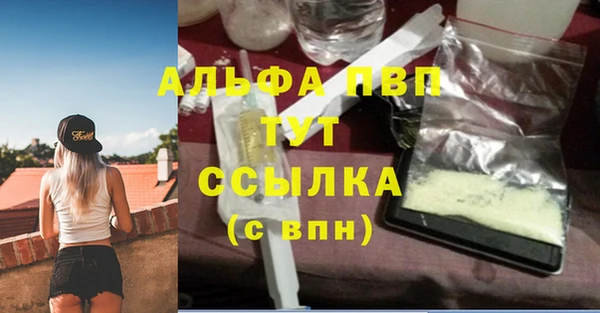 прущие грибы Коряжма